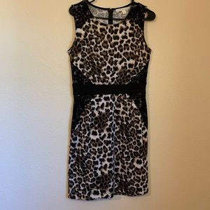 Boston Proper Jaguar Print Dress Size 6